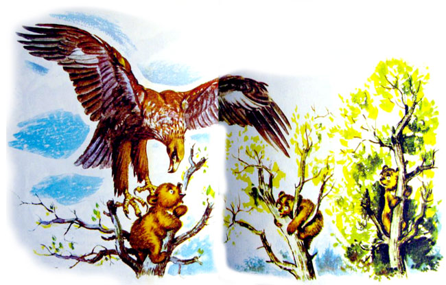 قصه کودکانه ماجرای سه بچه خرس-داستانهای مصوّر رنگی برای کودکان -ارشیو قصه و داستان ایپابفا